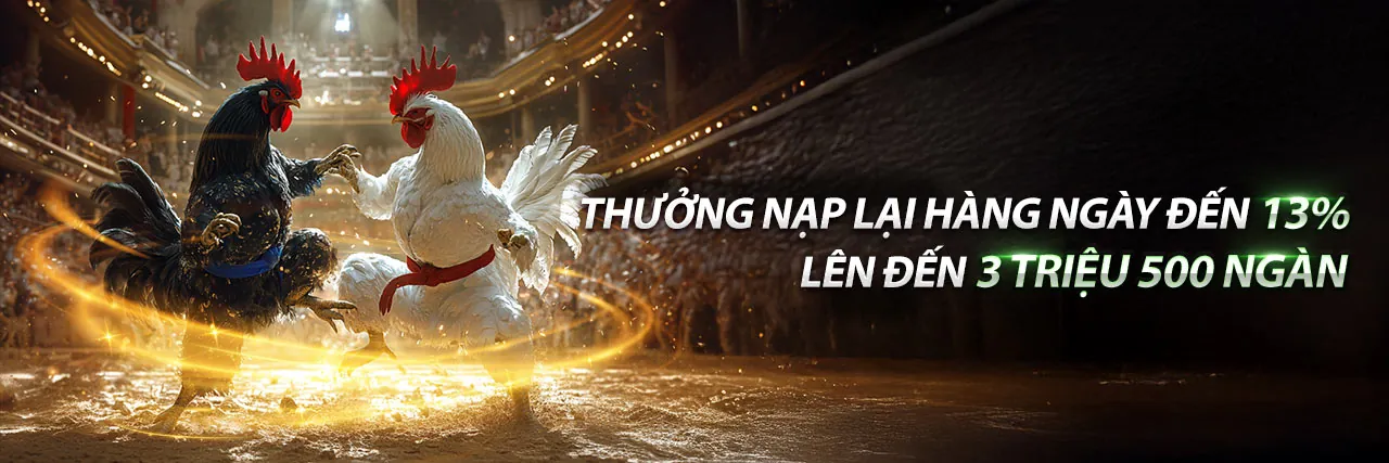 Trận đấu gà trực tuyến kịch tính tại abc8 info